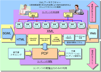 NbNƊg傷